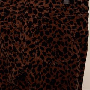 Ann Taylor Loft Super Skinny Pants with Print